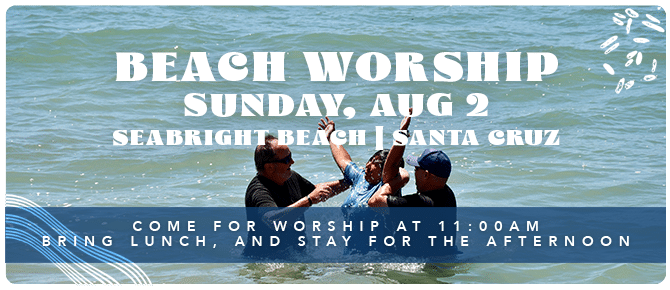 beach-Newsletter-header-1 image