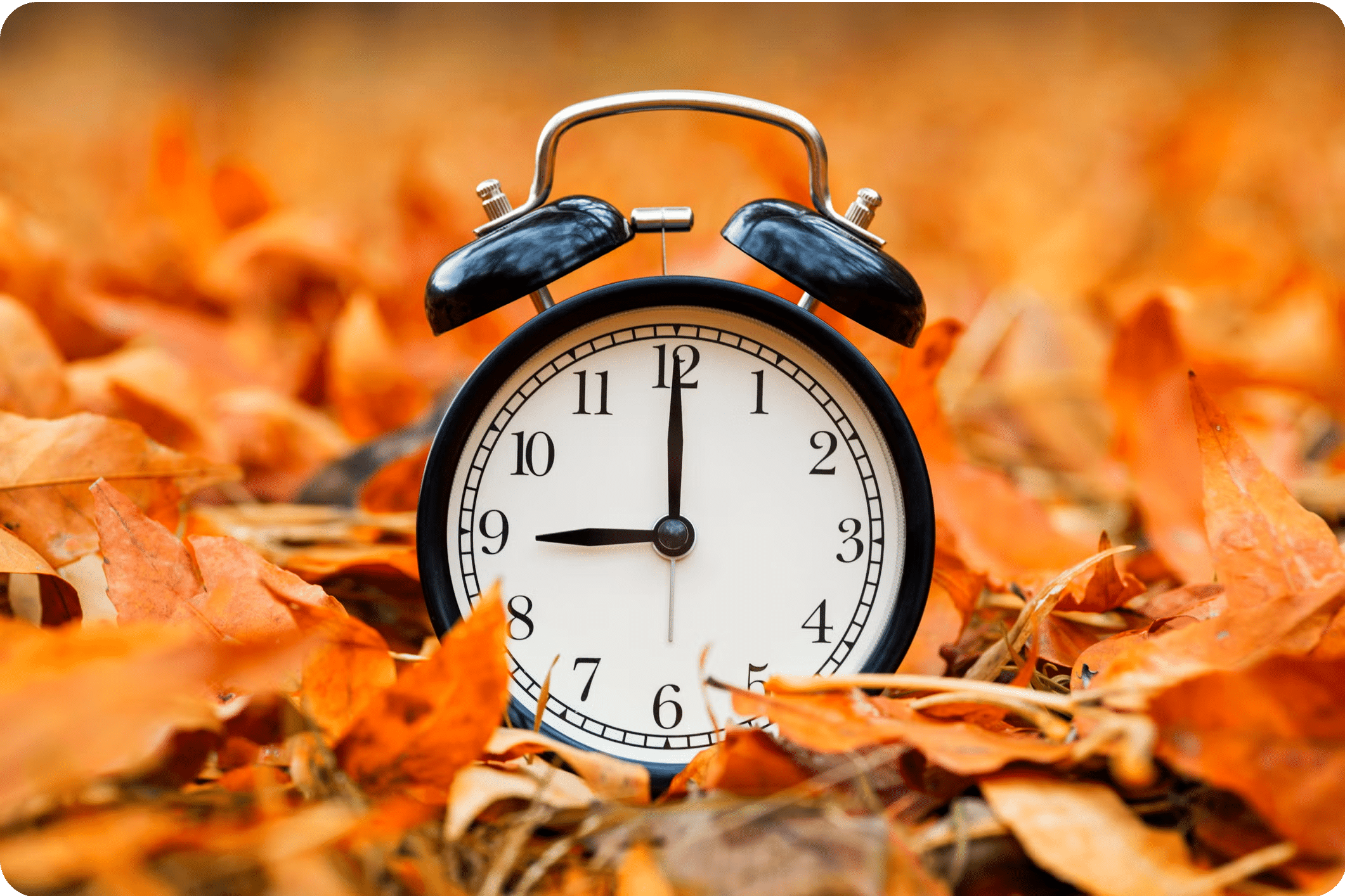 fall-back-enews-sm image